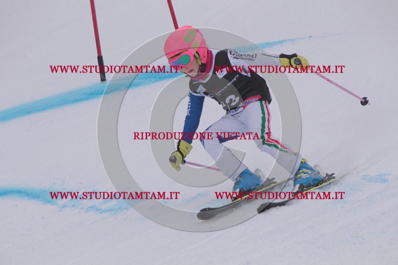 IMG_7151.JPG
