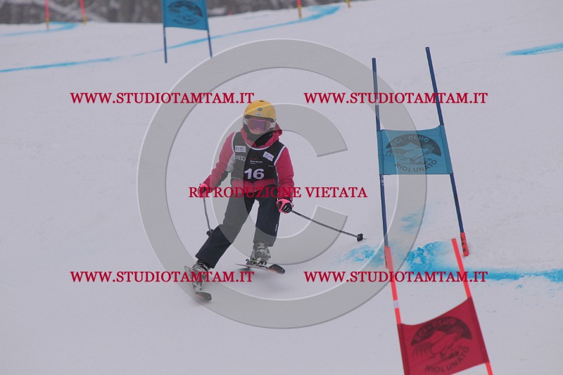IMG_7170.JPG