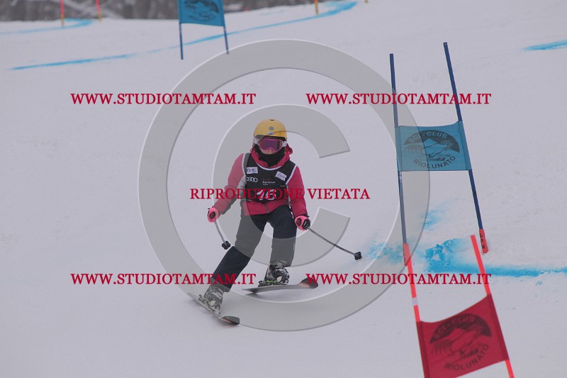 IMG_7171.JPG