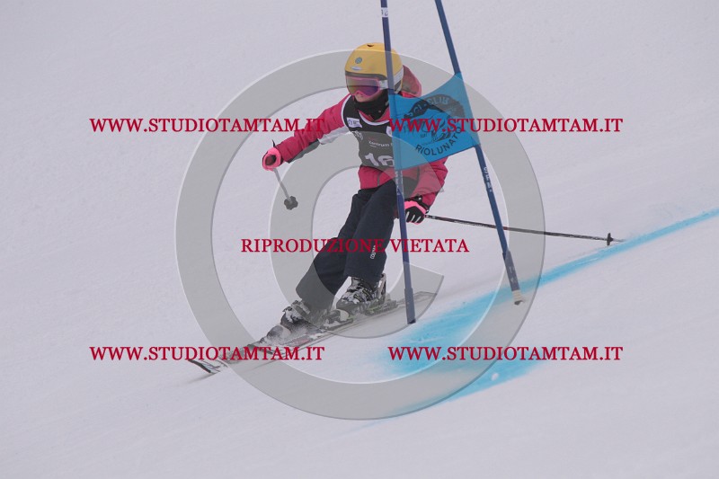 IMG_7175.JPG