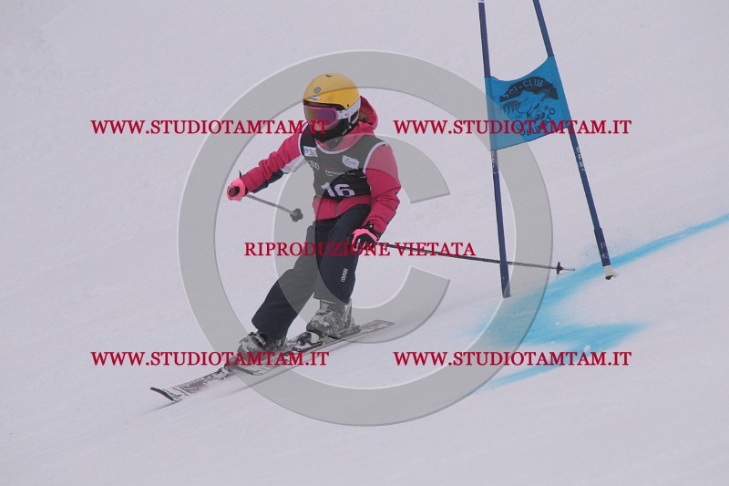 IMG_7176.JPG