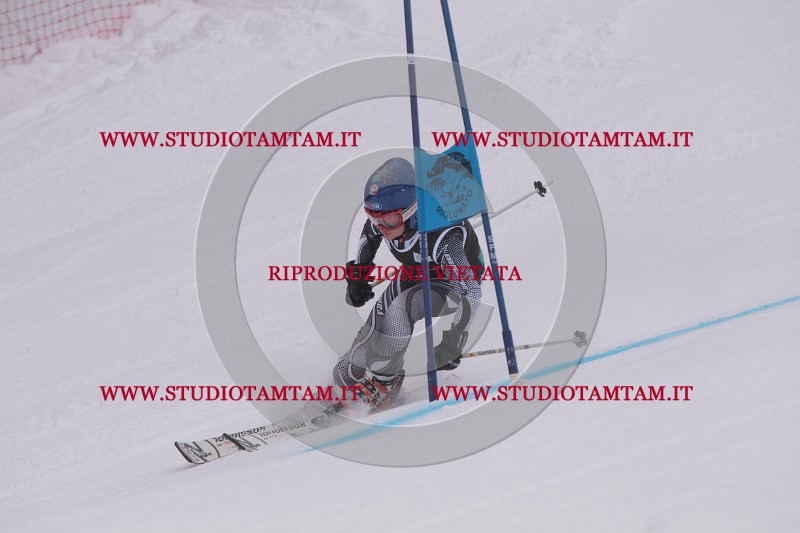IMG_7214.JPG