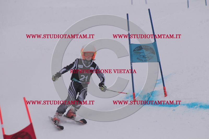 IMG_7243.JPG