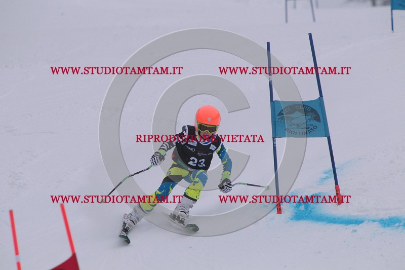 IMG_7275.JPG