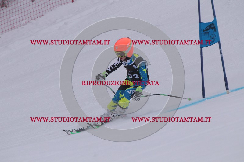 IMG_7280.JPG