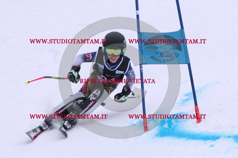 IMG_7289.jpg