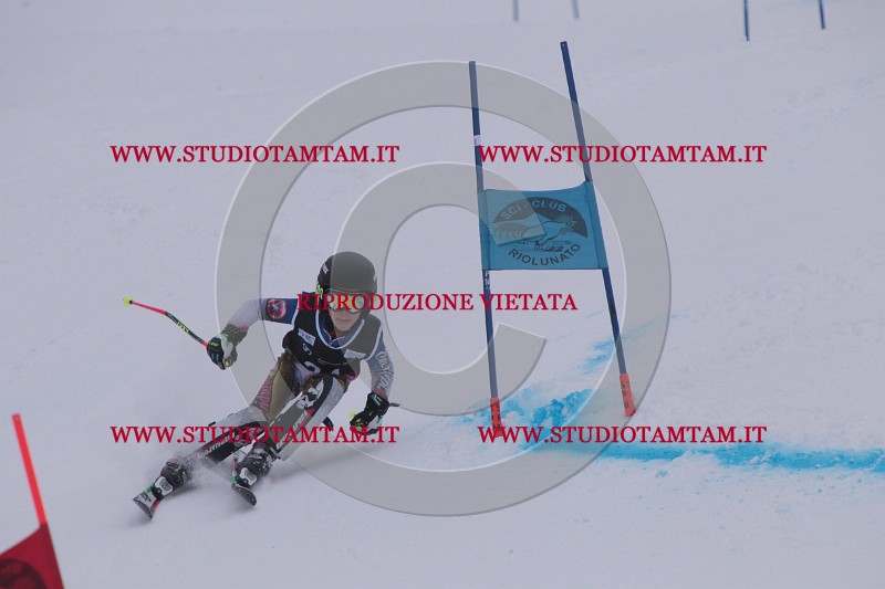 IMG_7290.JPG