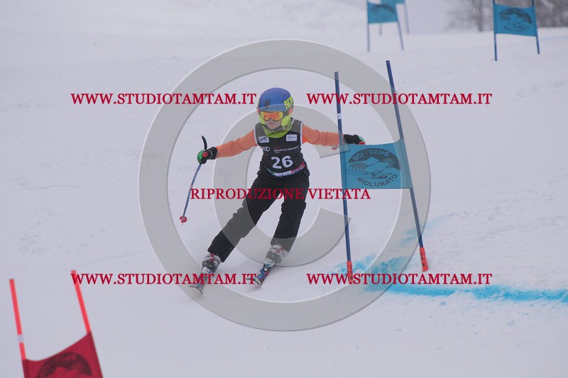 IMG_7313.JPG