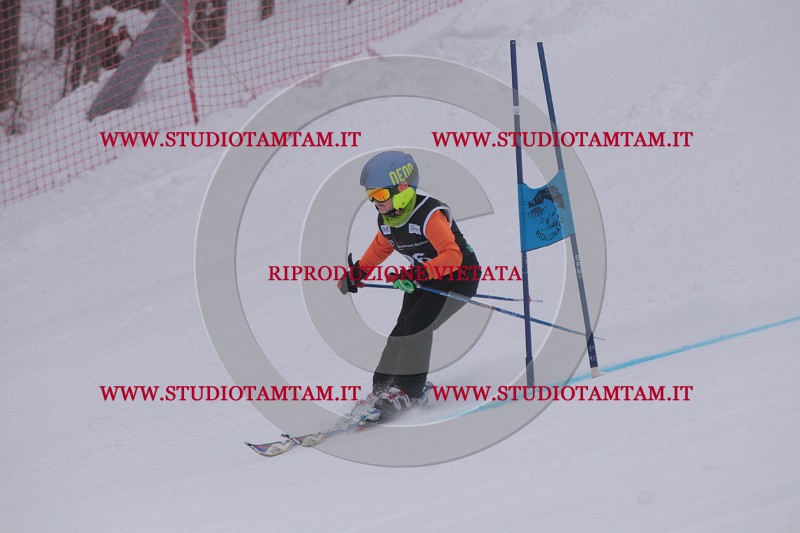IMG_7319.JPG
