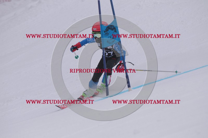 IMG_7332.JPG