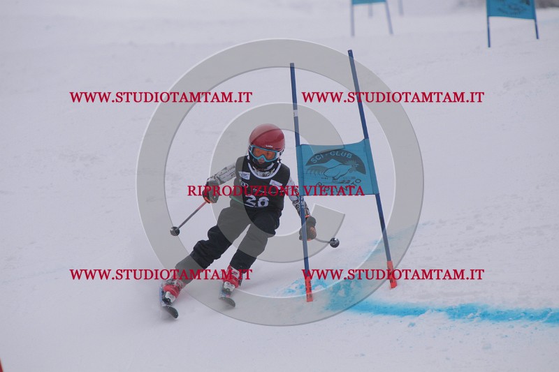IMG_7340.JPG