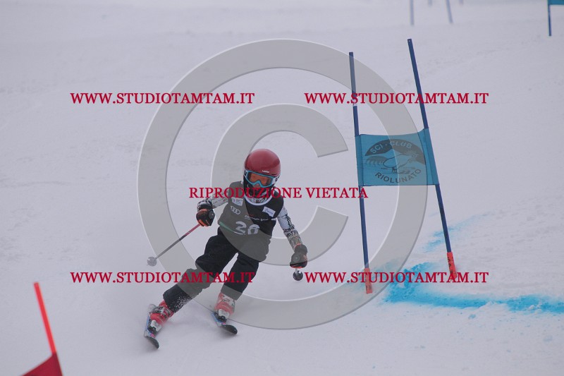 IMG_7341.JPG