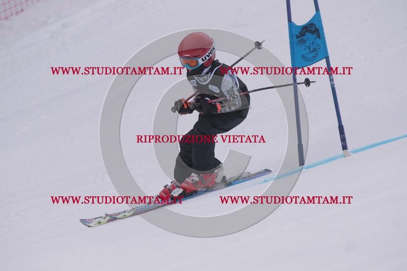 IMG_7347.JPG