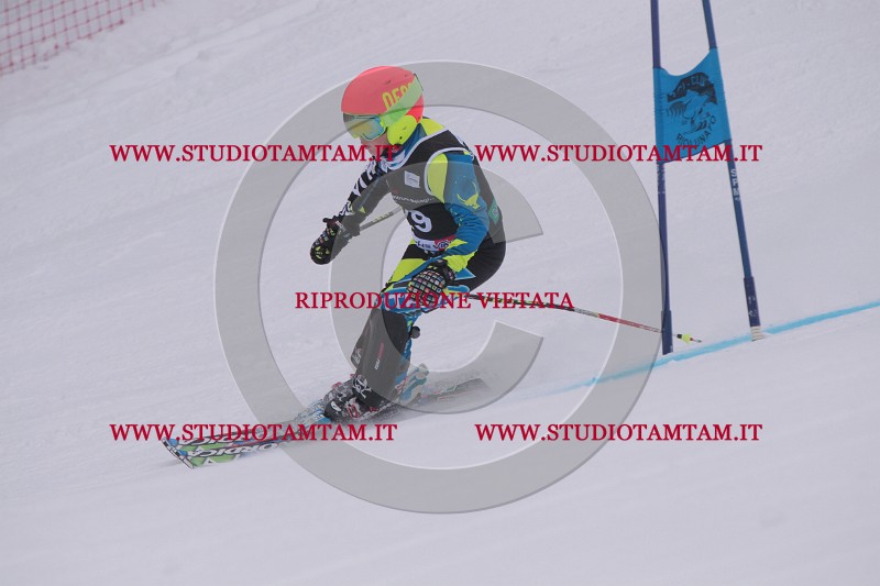 IMG_7363.JPG