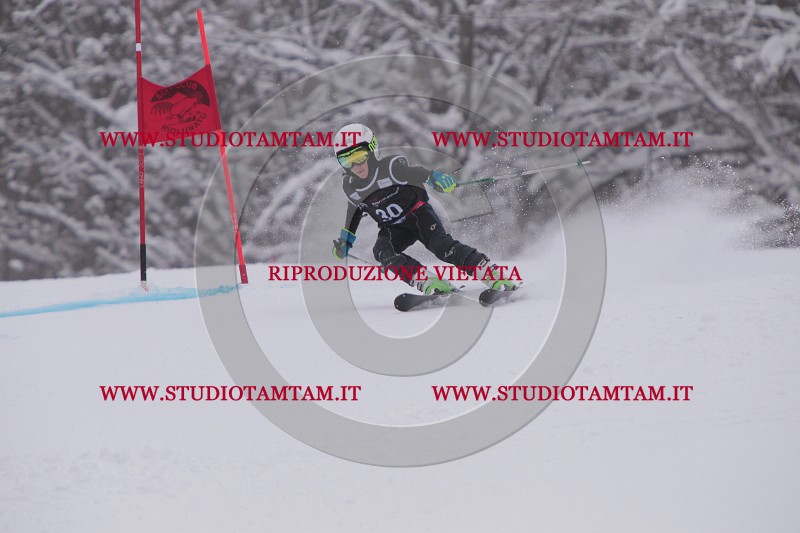 IMG_7370.JPG