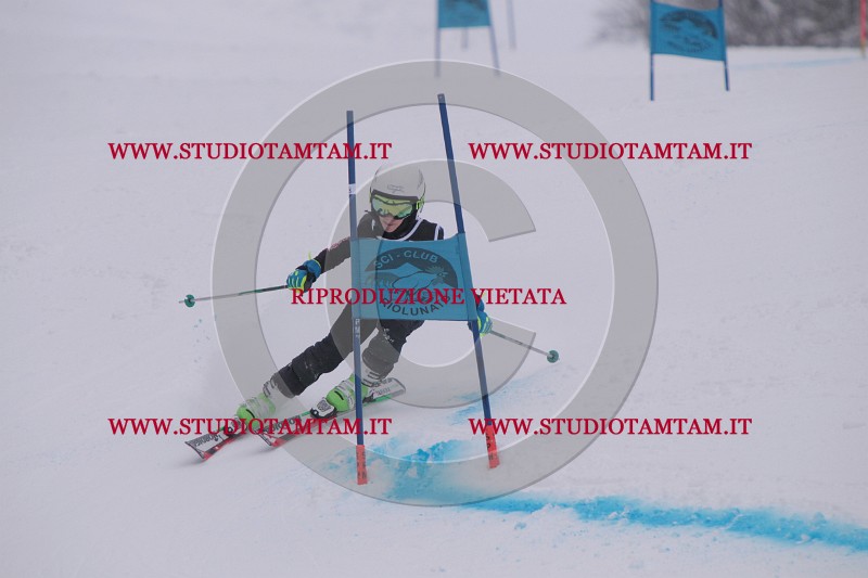 IMG_7372.JPG