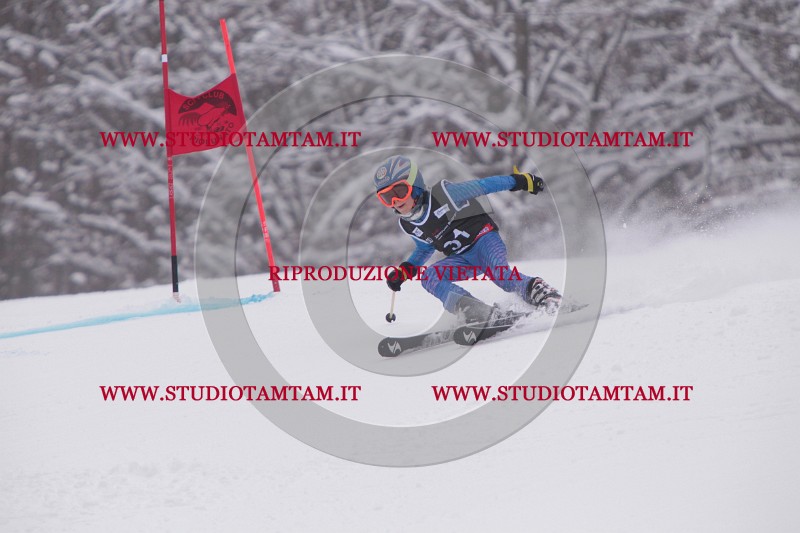 IMG_7385.JPG