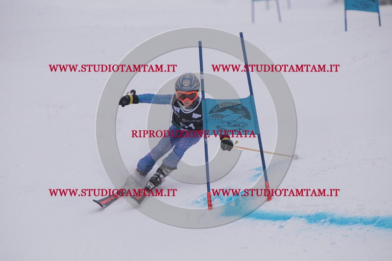 IMG_7386.JPG