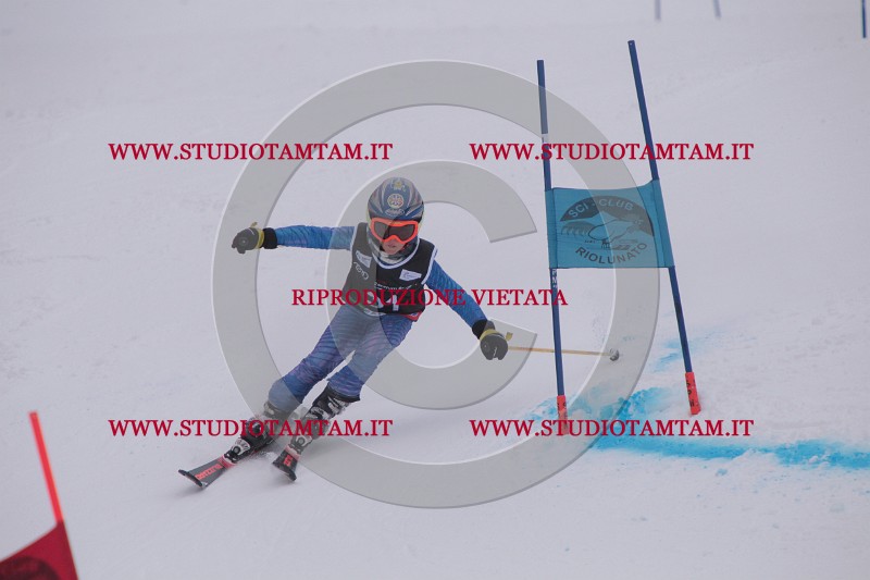 IMG_7387.JPG