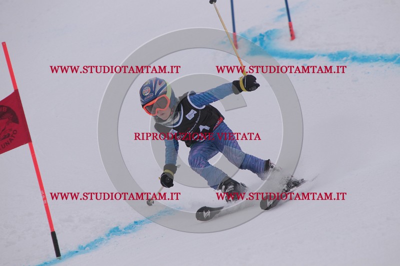 IMG_7390.JPG