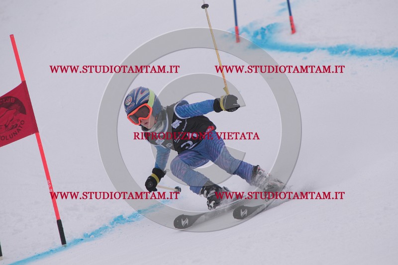 IMG_7391.JPG