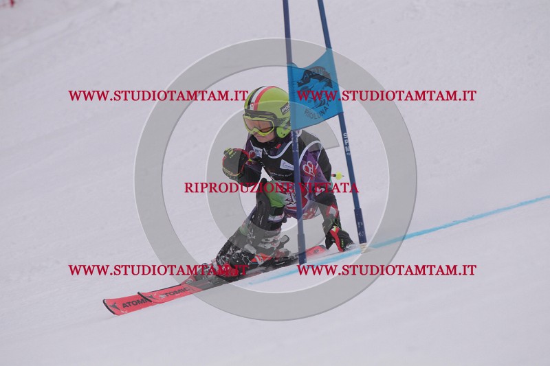 IMG_7426.JPG