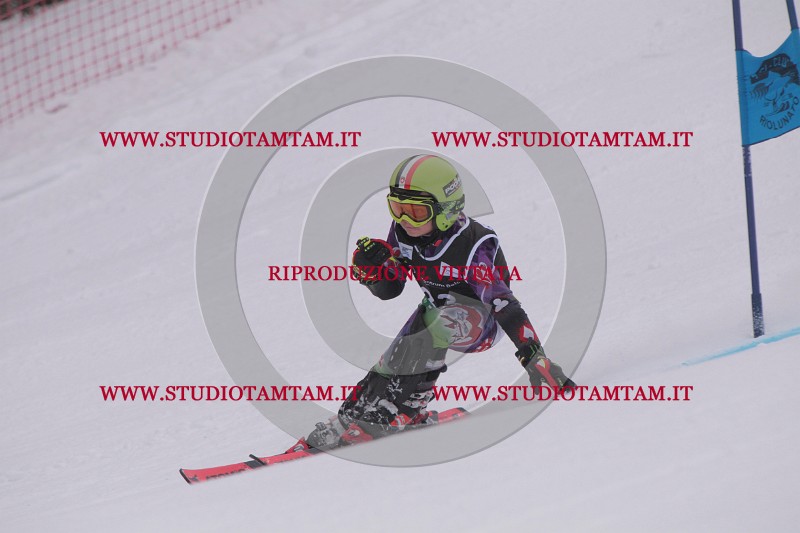 IMG_7427.JPG