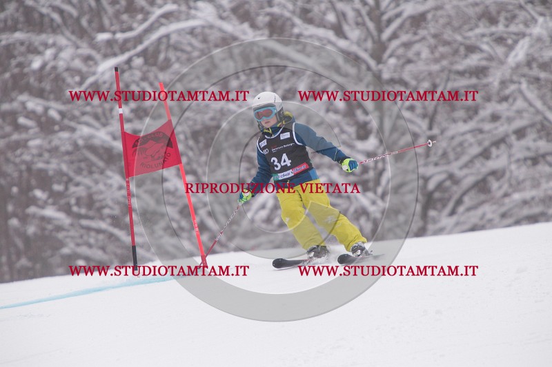 IMG_7432.JPG