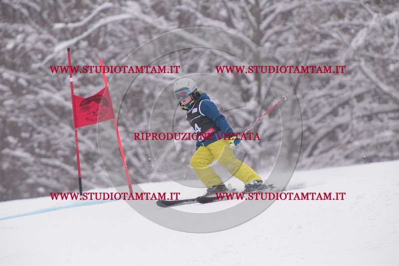 IMG_7433.JPG