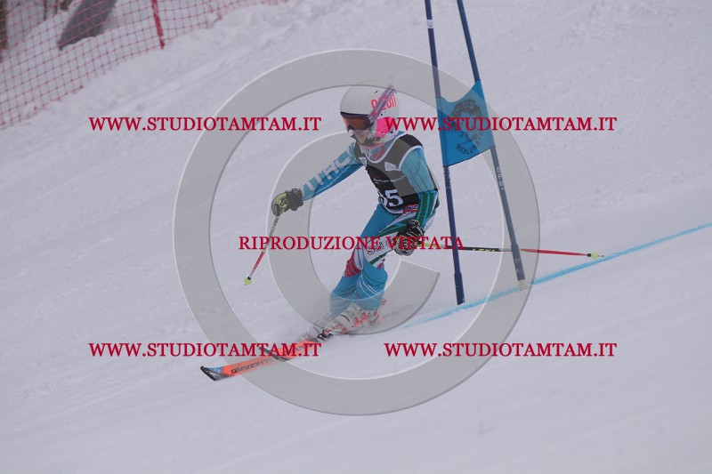 IMG_7457.JPG