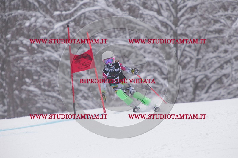 IMG_7472.JPG