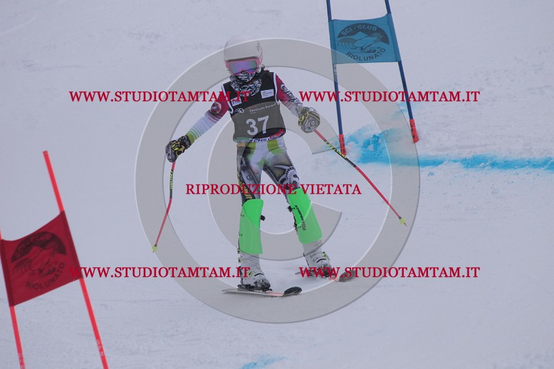 IMG_7479.JPG