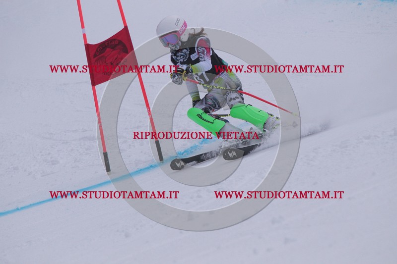 IMG_7482.JPG