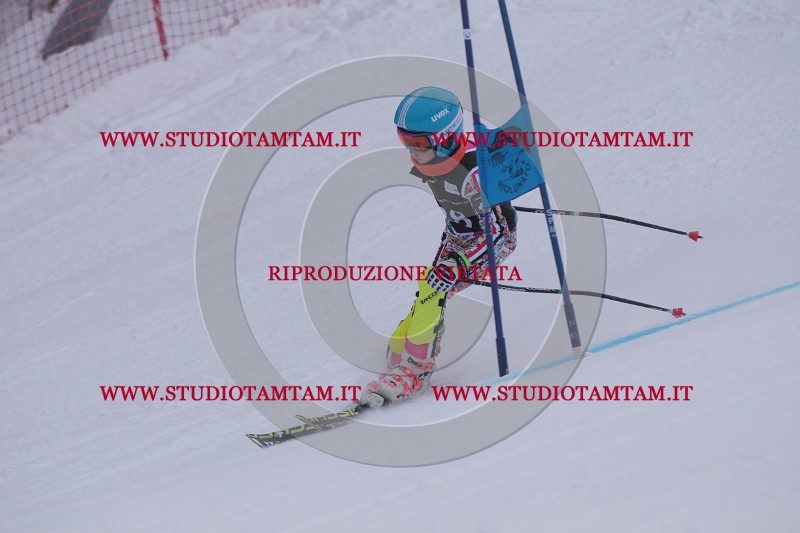 IMG_7496.JPG