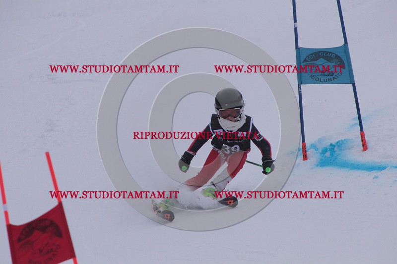 IMG_7507.JPG