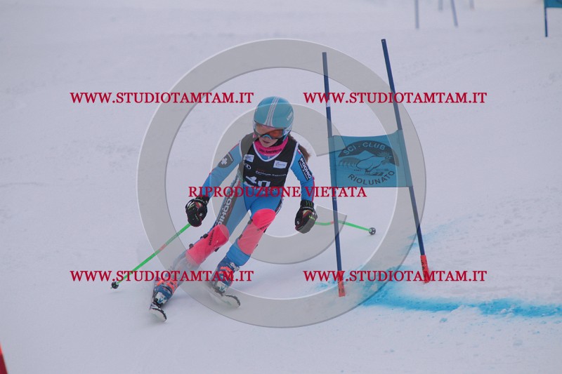 IMG_7520.JPG