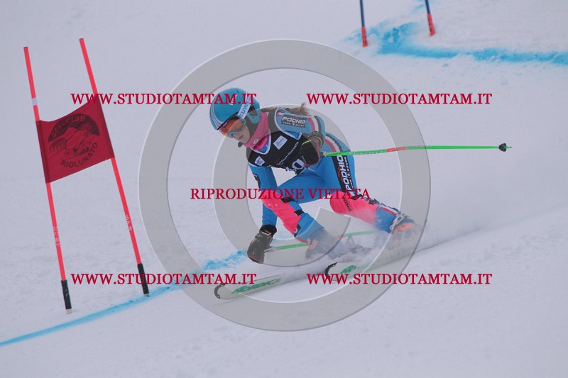 IMG_7523.JPG