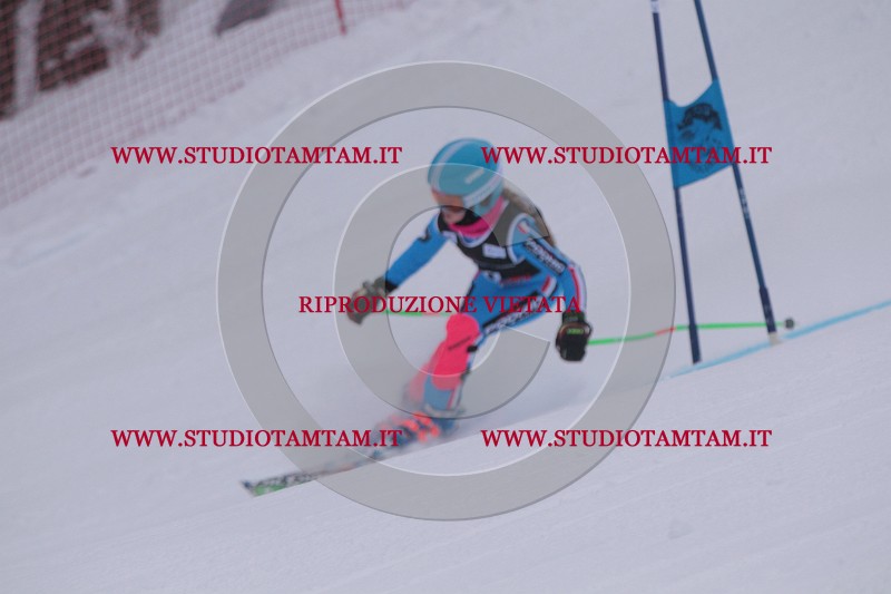 IMG_7525.JPG