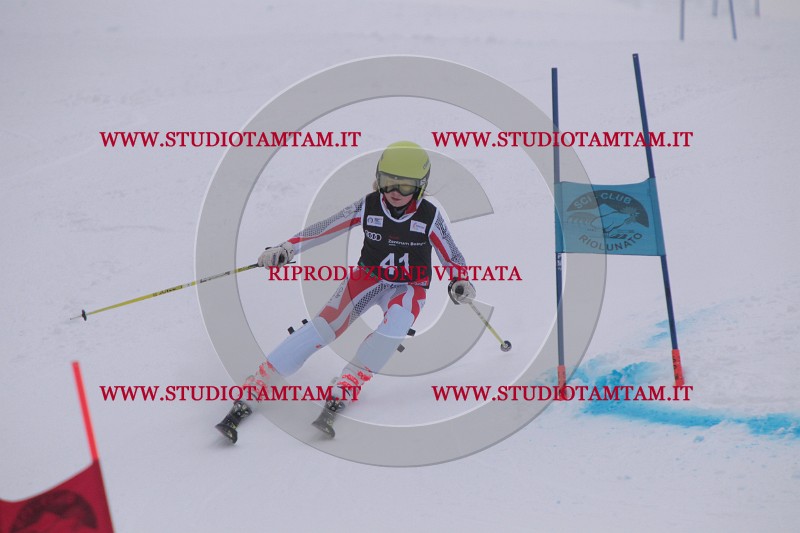 IMG_7533.JPG