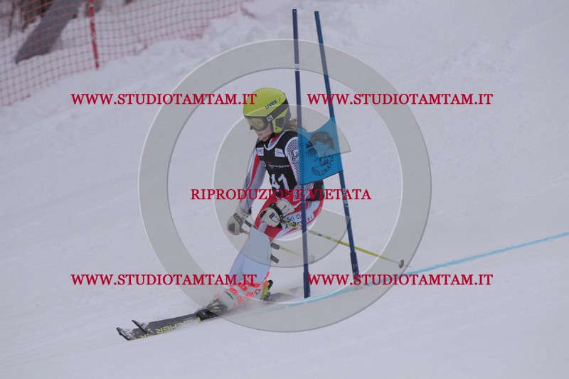 IMG_7537.JPG
