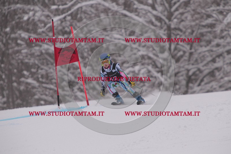 IMG_7543.JPG