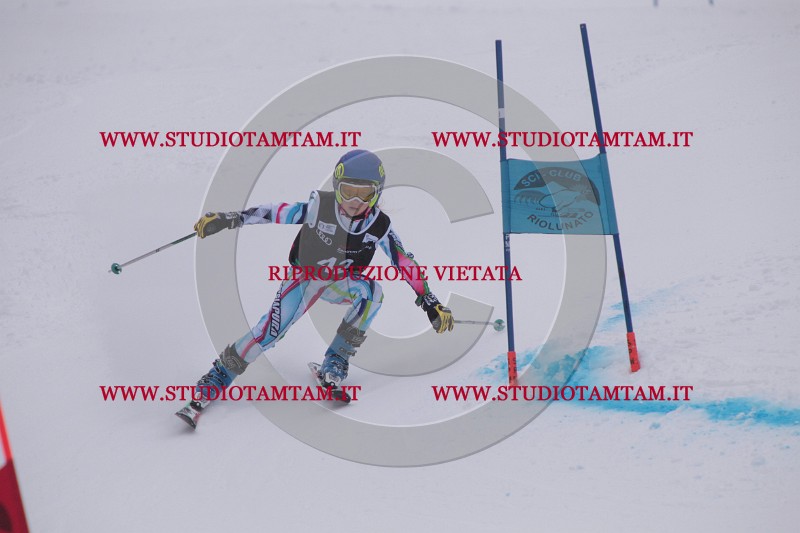 IMG_7548.JPG