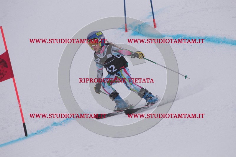 IMG_7549.JPG