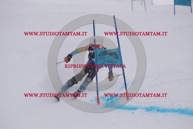 IMG_7557.JPG