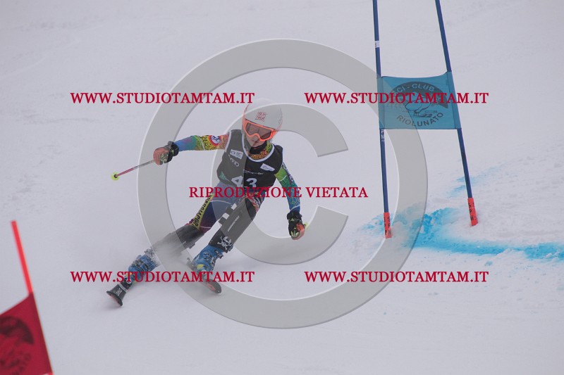 IMG_7559.JPG