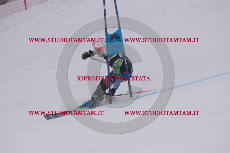 IMG_7564.JPG