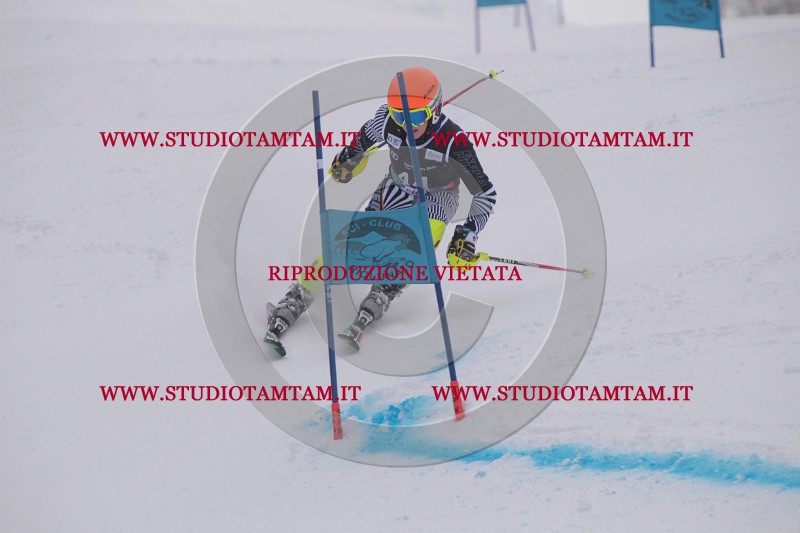 IMG_7570.JPG
