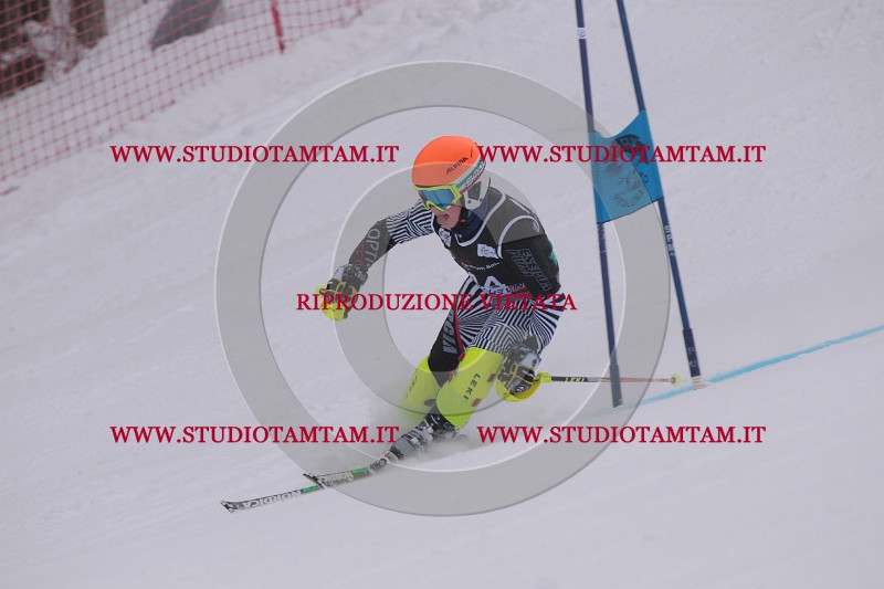IMG_7578.JPG