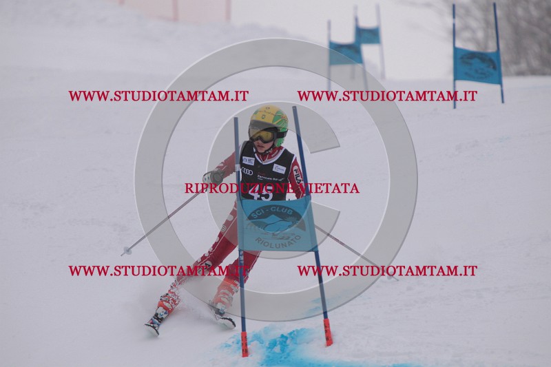 IMG_7584.JPG