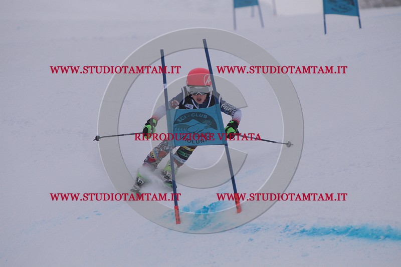 IMG_7628.JPG